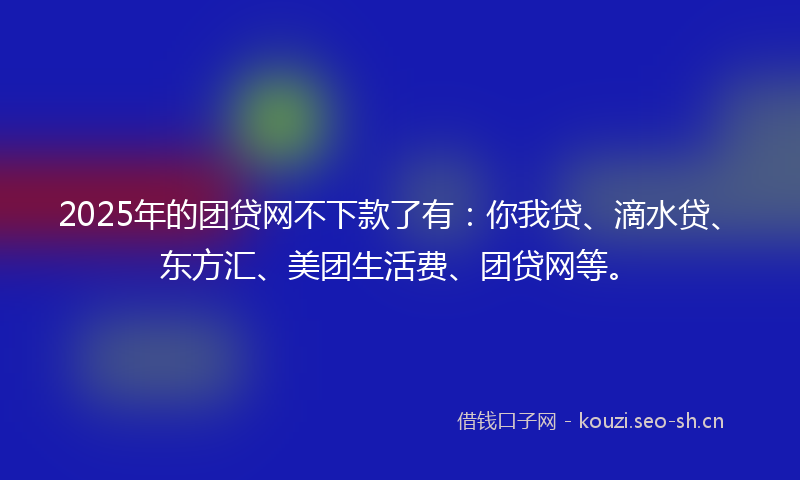 2025年的团贷网不下款了有：你我贷、滴水贷、东方汇、美团生活费、团贷网等。