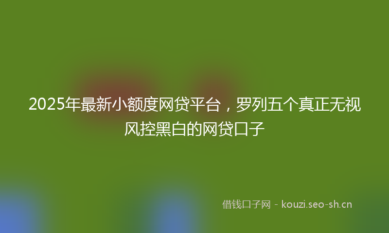 2025年最新小额度网贷平台，罗列五个真正无视风控黑白的网贷口子
