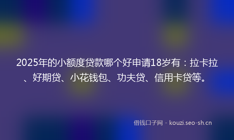 2025年的小额度贷款哪个好申请18岁有：拉卡拉、好期贷、小花钱包、功夫贷、信用卡贷等。