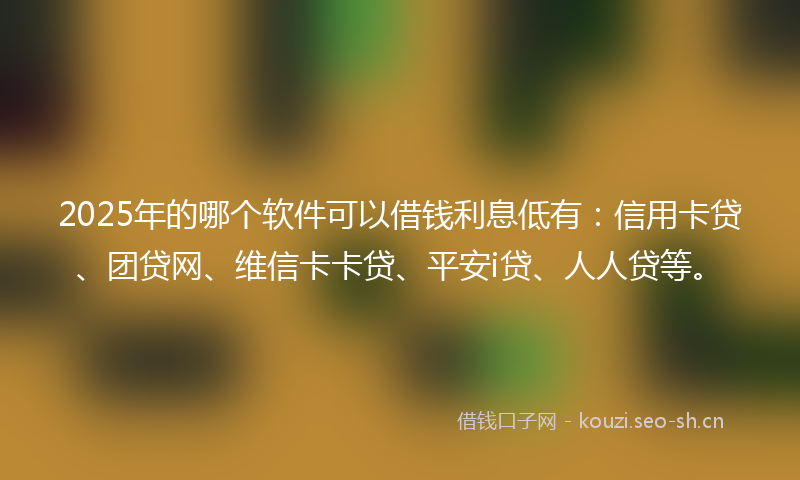2025年的哪个软件可以借钱利息低有：信用卡贷、团贷网、维信卡卡贷、平安i贷、人人贷等。