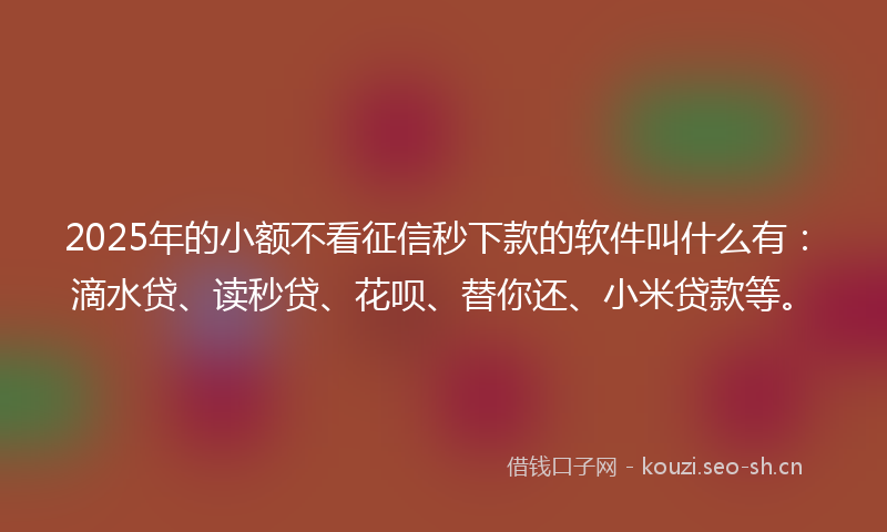 2025年的小额不看征信秒下款的软件叫什么有：滴水贷、读秒贷、花呗、替你还、小米贷款等。