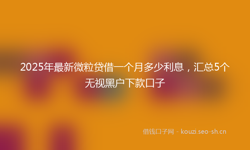 2025年最新微粒贷借一个月多少利息，汇总5个无视黑户下款口子