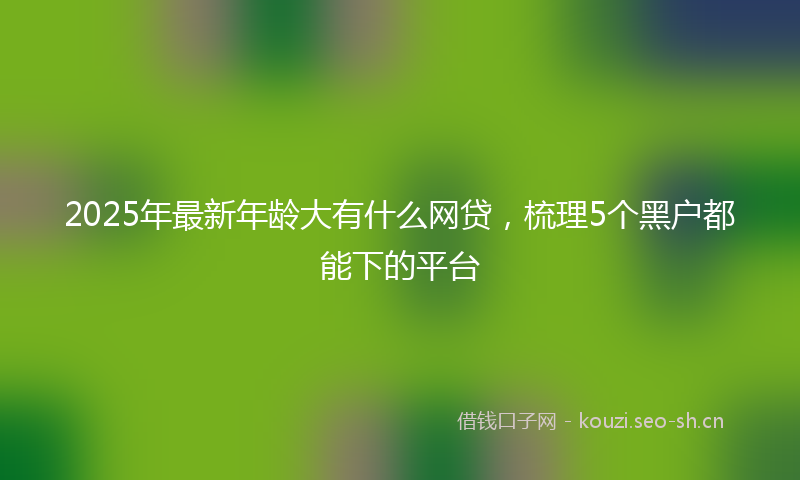 2025年最新年龄大有什么网贷，梳理5个黑户都能下的平台