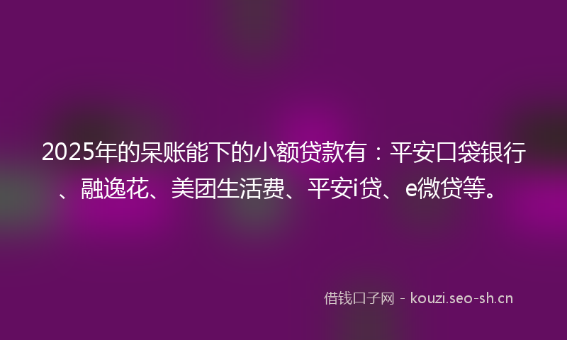 2025年的呆账能下的小额贷款有：平安口袋银行、融逸花、美团生活费、平安i贷、e微贷等。