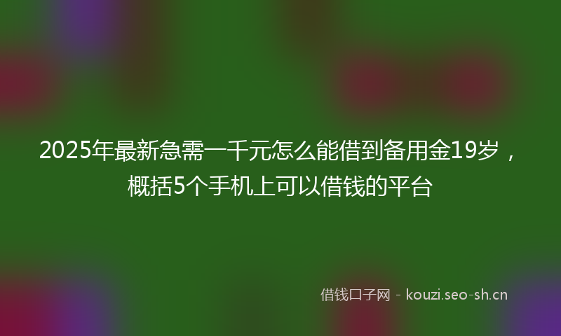 2025年最新急需一千元怎么能借到备用金19岁，概括5个手机上可以借钱的平台