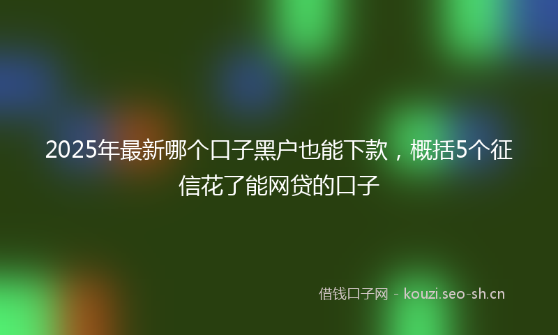 2025年最新哪个口子黑户也能下款，概括5个征信花了能网贷的口子