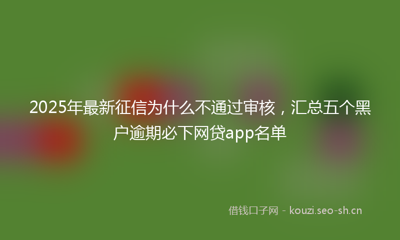 2025年最新征信为什么不通过审核，汇总五个黑户逾期必下网贷app名单