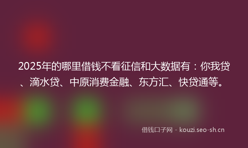 2025年的哪里借钱不看征信和大数据有：你我贷、滴水贷、中原消费金融、东方汇、快贷通等。