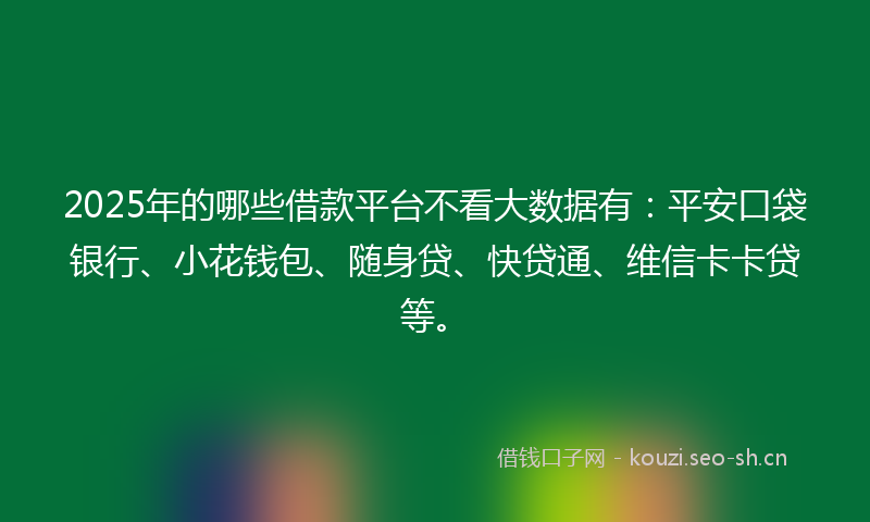 2025年的哪些借款平台不看大数据有：平安口袋银行、小花钱包、随身贷、快贷通、维信卡卡贷等。