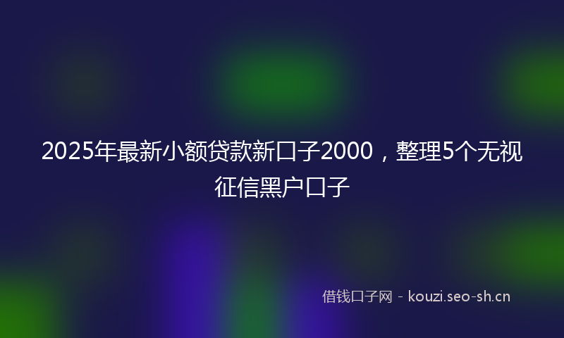 2025年最新小额贷款新口子2000，整理5个无视征信黑户口子