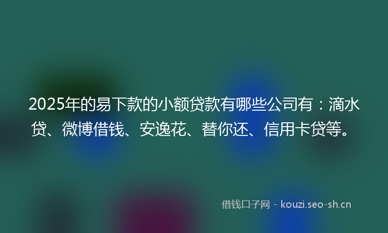 2025年的易下款的小额贷款有哪些公司有：滴水贷、微博借钱、安逸花、替你还、信用卡贷等。