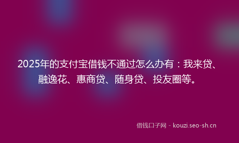 2025年的支付宝借钱不通过怎么办有：我来贷、融逸花、惠商贷、随身贷、投友圈等。