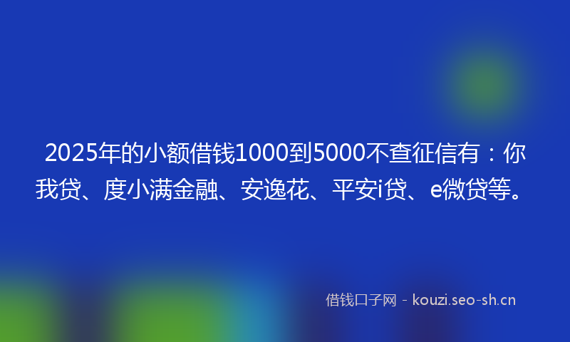 2025年的小额借钱1000到5000不查征信有：你我贷、度小满金融、安逸花、平安i贷、e微贷等。