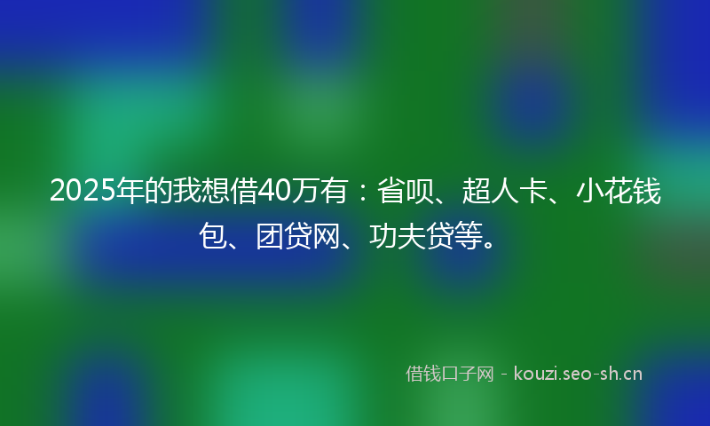 2025年的我想借40万有：省呗、超人卡、小花钱包、团贷网、功夫贷等。