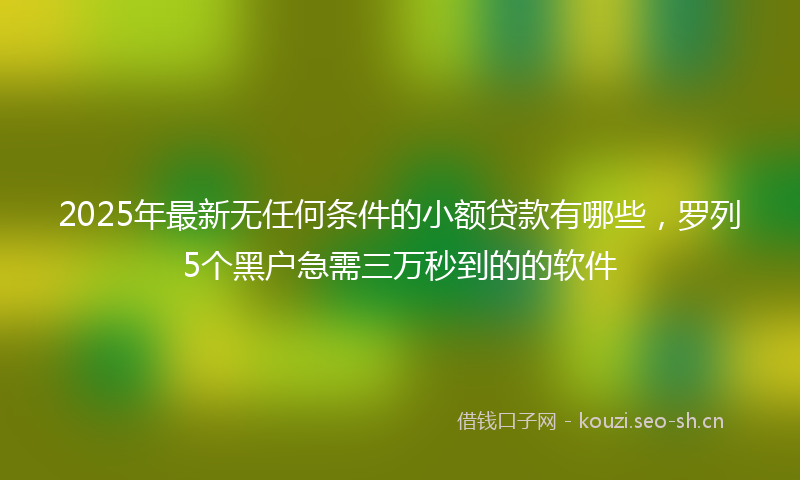 2025年最新无任何条件的小额贷款有哪些，罗列5个黑户急需三万秒到的的软件