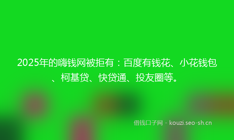 2025年的嗨钱网被拒有：百度有钱花、小花钱包、柯基贷、快贷通、投友圈等。