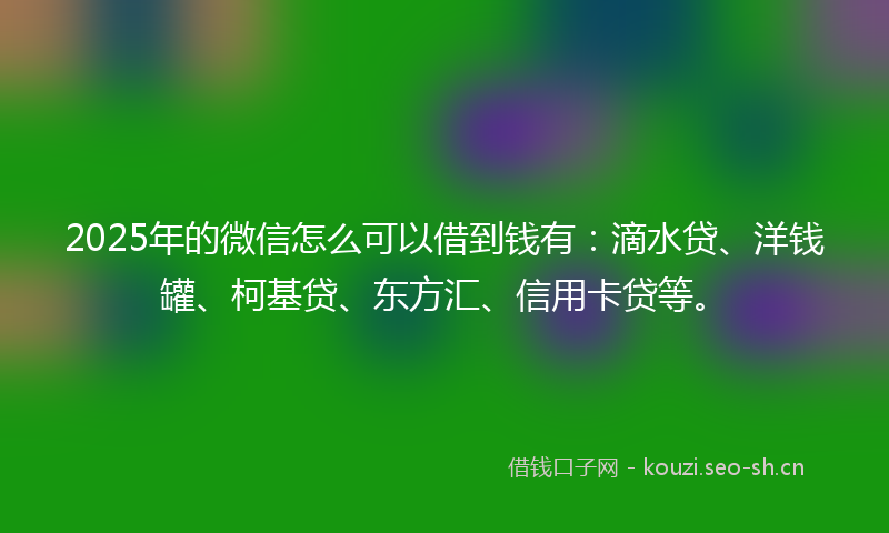 2025年的微信怎么可以借到钱有：滴水贷、洋钱罐、柯基贷、东方汇、信用卡贷等。