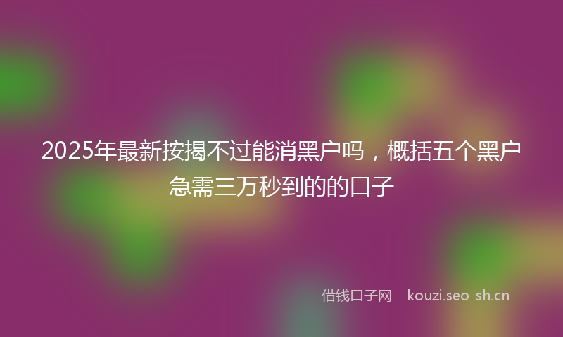 2025年最新按揭不过能消黑户吗，概括五个黑户急需三万秒到的的口子