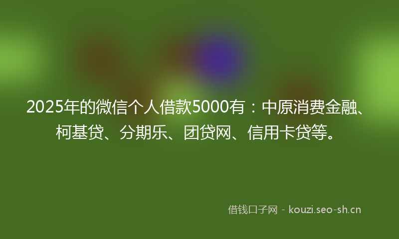 2025年的微信个人借款5000有：中原消费金融、柯基贷、分期乐、团贷网、信用卡贷等。