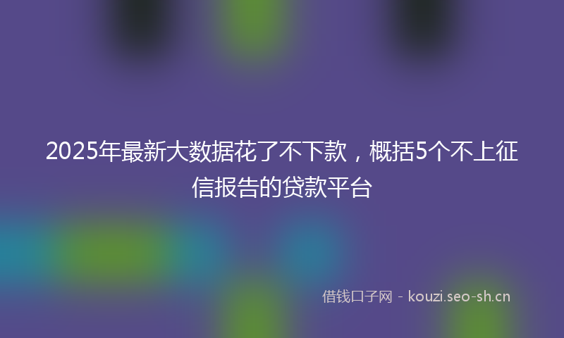 2025年最新大数据花了不下款，概括5个不上征信报告的贷款平台