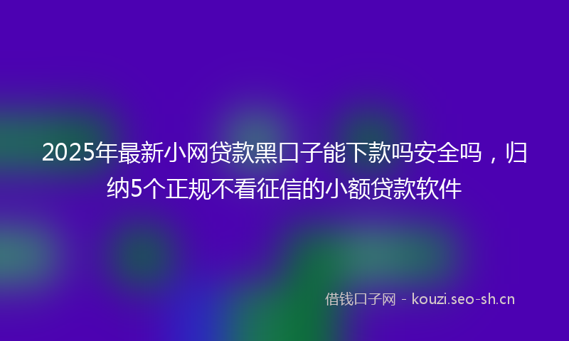 2025年最新小网贷款黑口子能下款吗安全吗，归纳5个正规不看征信的小额贷款软件