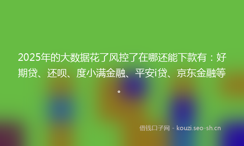 2025年的大数据花了风控了在哪还能下款有：好期贷、还呗、度小满金融、平安i贷、京东金融等。