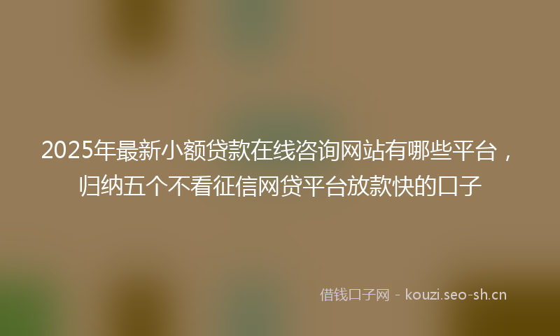 2025年最新小额贷款在线咨询网站有哪些平台，归纳五个不看征信网贷平台放款快的口子