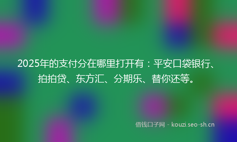 2025年的支付分在哪里打开有：平安口袋银行、拍拍贷、东方汇、分期乐、替你还等。