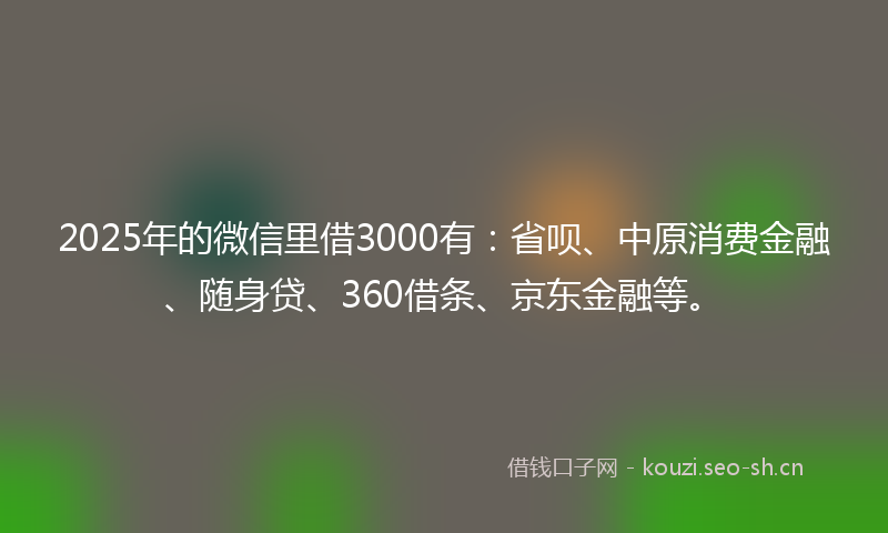 2025年的微信里借3000有：省呗、中原消费金融、随身贷、360借条、京东金融等。