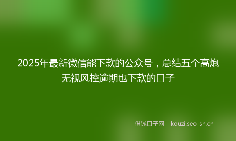 2025年最新微信能下款的公众号，总结五个高炮无视风控逾期也下款的口子