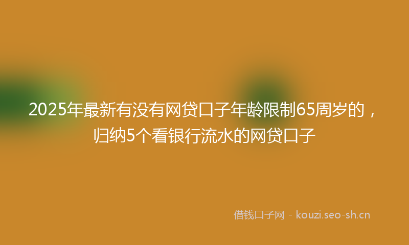 2025年最新有没有网贷口子年龄限制65周岁的，归纳5个看银行流水的网贷口子