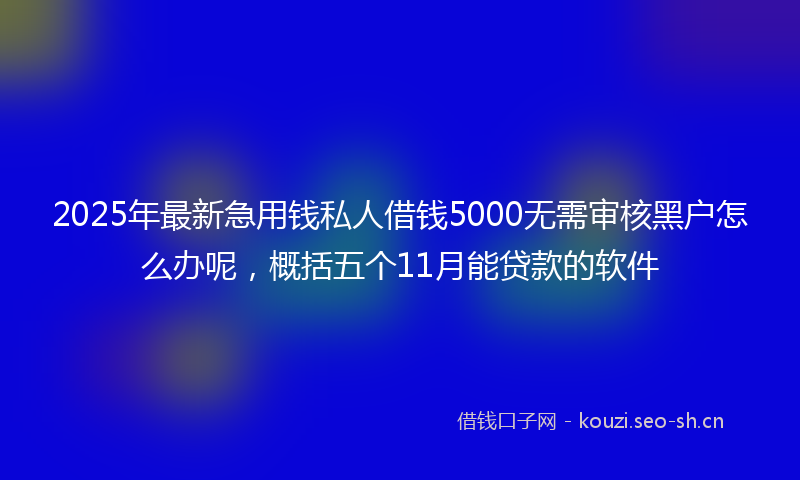 2025年最新急用钱私人借钱5000无需审核黑户怎么办呢，概括五个11月能贷款的软件