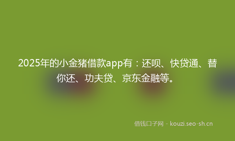 2025年的小金猪借款app有：还呗、快贷通、替你还、功夫贷、京东金融等。