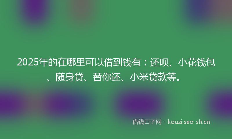 2025年的在哪里可以借到钱有：还呗、小花钱包、随身贷、替你还、小米贷款等。
