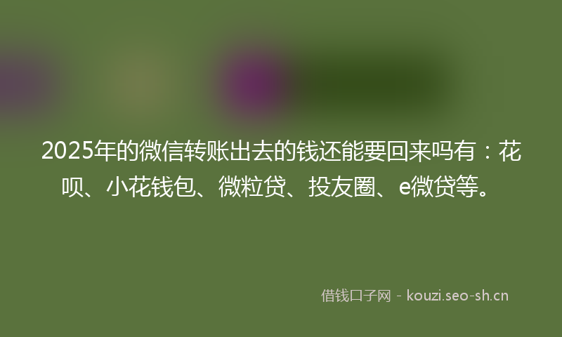 2025年的微信转账出去的钱还能要回来吗有：花呗、小花钱包、微粒贷、投友圈、e微贷等。