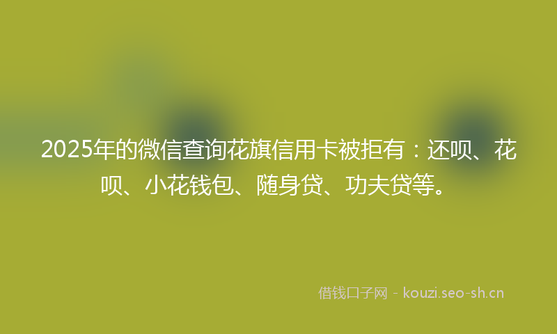 2025年的微信查询花旗信用卡被拒有：还呗、花呗、小花钱包、随身贷、功夫贷等。