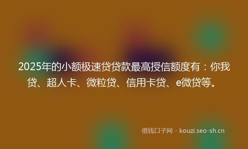 2025年的小额极速贷贷款最高授信额度有：你我贷、超人卡、微粒贷、信用卡贷、e微贷等。