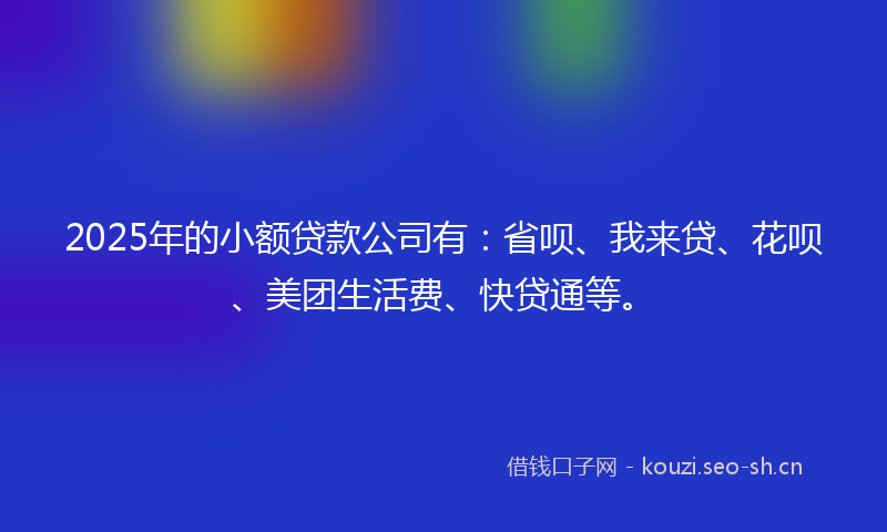 2025年的小额贷款公司有：省呗、我来贷、花呗、美团生活费、快贷通等。