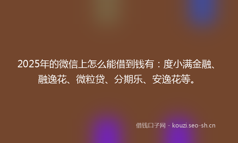 2025年的微信上怎么能借到钱有：度小满金融、融逸花、微粒贷、分期乐、安逸花等。