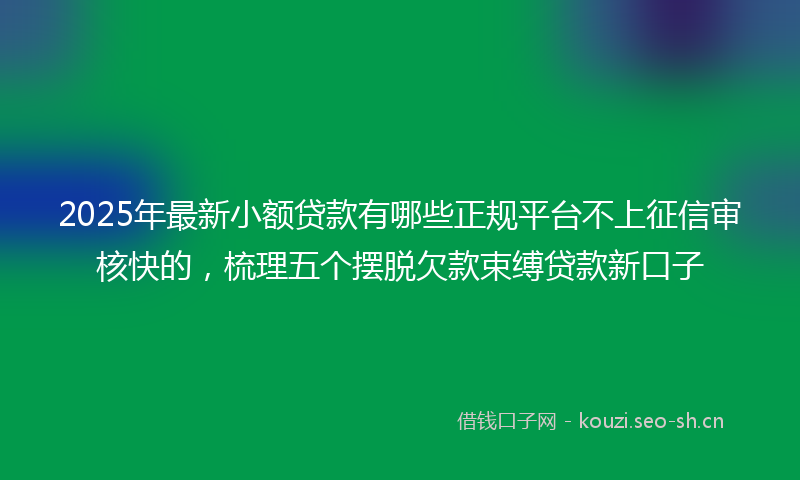2025年最新小额贷款有哪些正规平台不上征信审核快的，梳理五个摆脱欠款束缚贷款新口子