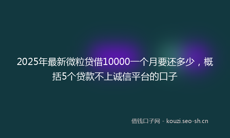 2025年最新微粒贷借10000一个月要还多少，概括5个贷款不上诚信平台的口子
