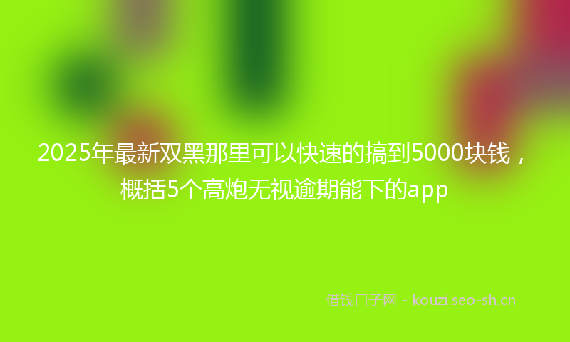 2025年最新双黑那里可以快速的搞到5000块钱，概括5个高炮无视逾期能下的app