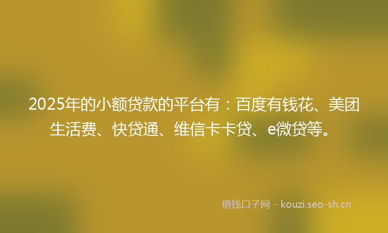 2025年的小额贷款的平台有：百度有钱花、美团生活费、快贷通、维信卡卡贷、e微贷等。