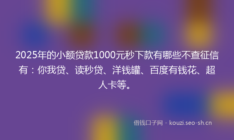 2025年的小额贷款1000元秒下款有哪些不查征信有：你我贷、读秒贷、洋钱罐、百度有钱花、超人卡等。