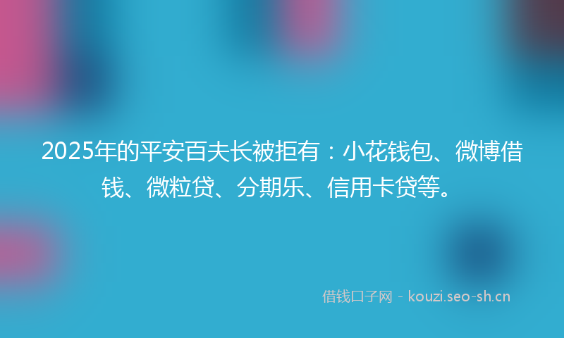 2025年的平安百夫长被拒有：小花钱包、微博借钱、微粒贷、分期乐、信用卡贷等。