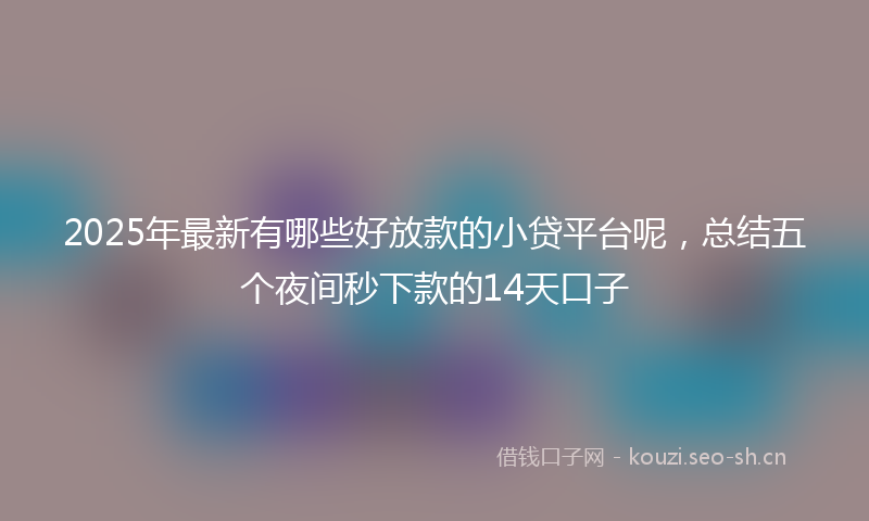 2025年最新有哪些好放款的小贷平台呢，总结五个夜间秒下款的14天口子