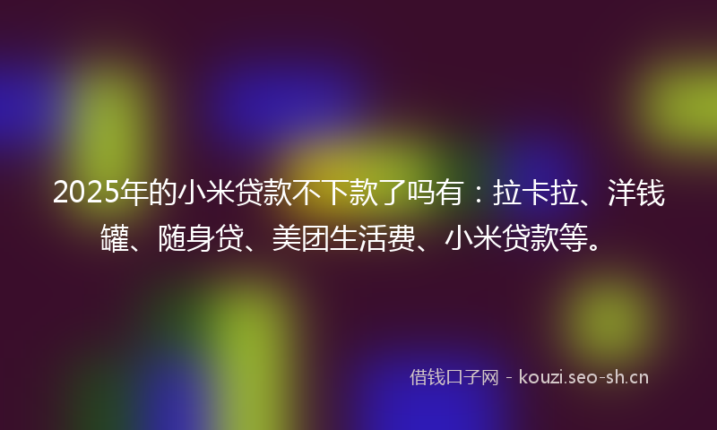2025年的小米贷款不下款了吗有：拉卡拉、洋钱罐、随身贷、美团生活费、小米贷款等。