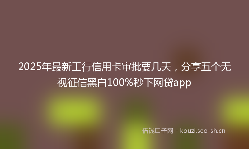 2025年最新工行信用卡审批要几天，分享五个无视征信黑白100%秒下网贷app