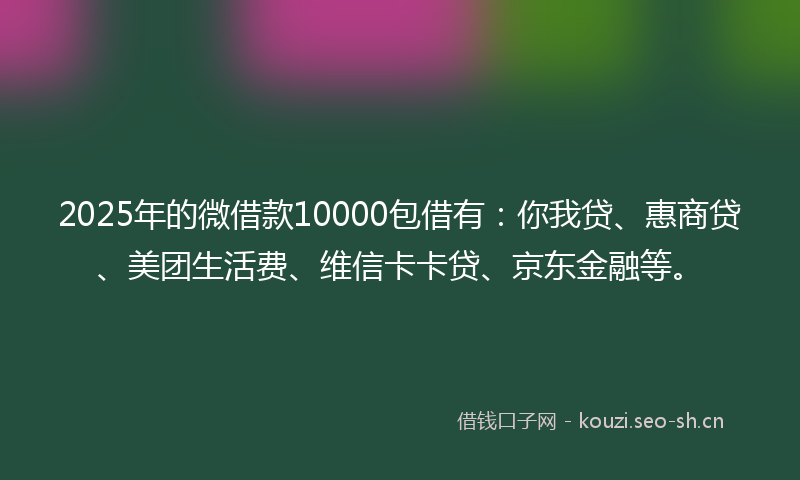 2025年的微借款10000包借有：你我贷、惠商贷、美团生活费、维信卡卡贷、京东金融等。