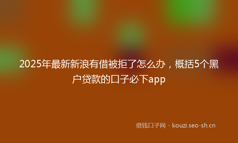 2025年最新新浪有借被拒了怎么办，概括5个黑户贷款的口子必下app